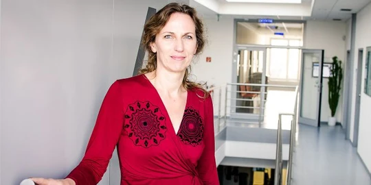 Zdraví lidí se zhoršuje a není jasné proč