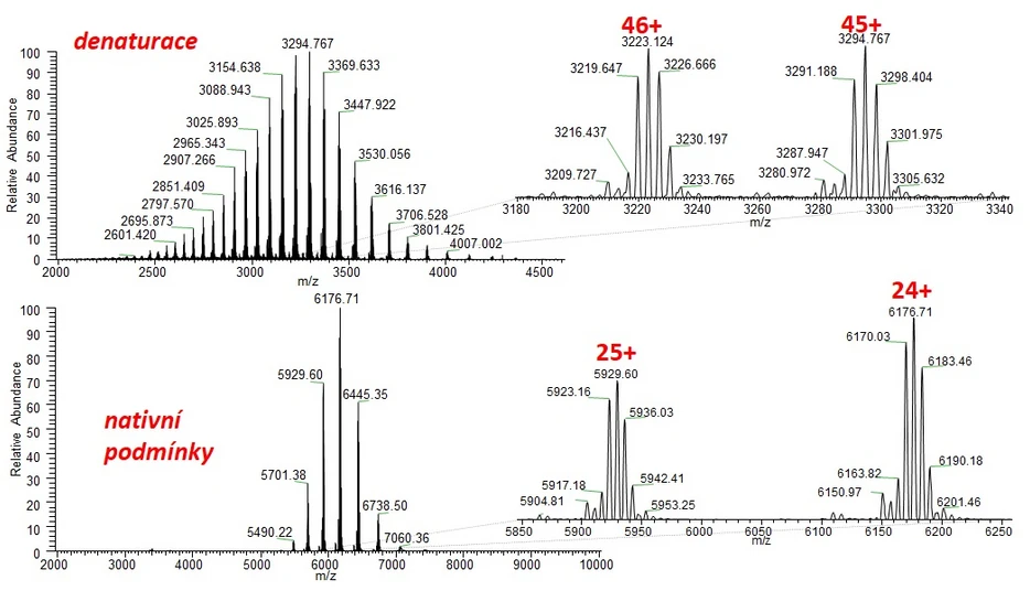 Obr. 3: hmotnostní spektrum adalimumabu, ESI+, rozlišení 200 000 FWHM, orbitální past