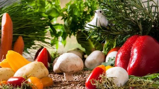 Prokázat, že biopotraviny jsou zdravější, se nedá