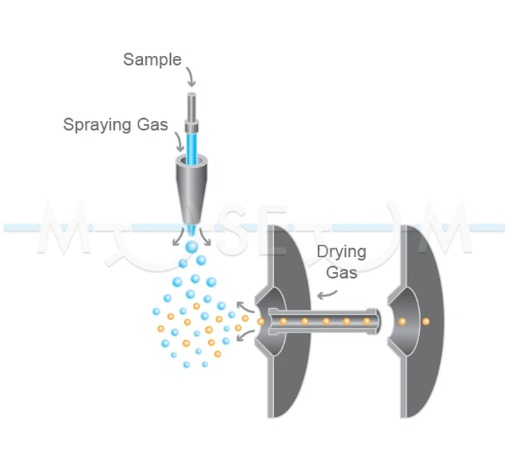 The Czech Museum of Mass Spectrometry/Martin Strohalm