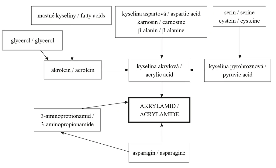 Obr. 1 Vznik akrylamidu (Eriksson, 2005)