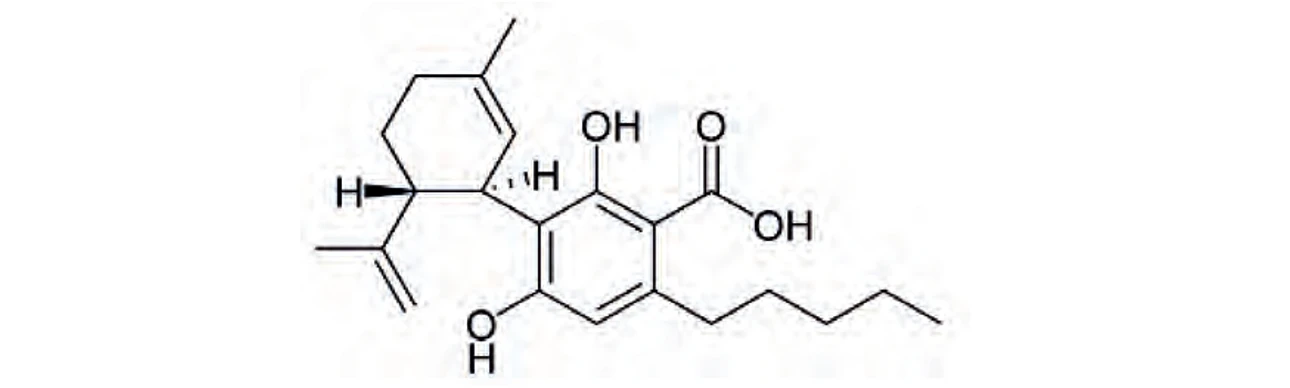 PČR: Kyselina kanabidiolová (CBDA)