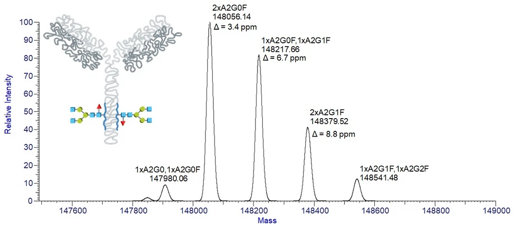 Obr. 5: glykosylační adukty adalimumabu (lišící se počtem navázaných galaktózových jednotek, tj. s hmotnostním rozdílem 162), produkty posttransalční modifikace při bioprodukci