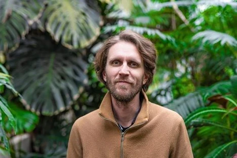 Tajemství termitů: dlouhověkost a po miliony let fungující řád