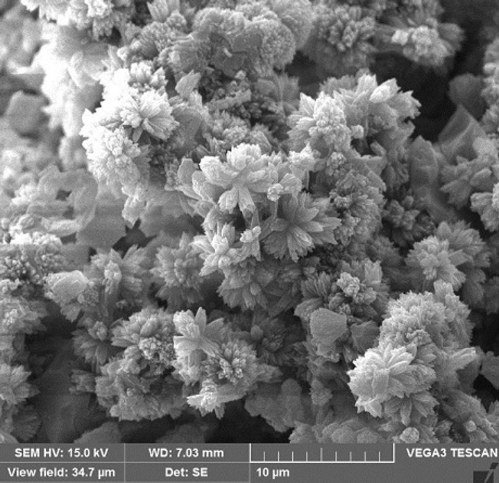 AVCR: Plnivo s nanostrukturními komplexy kovů má podobu prášku, zde snímek komplexů z elektronového mikroskopu.