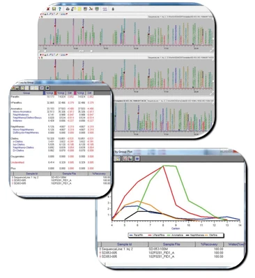 Wasson GC DHA Hydrocarbon Expert software