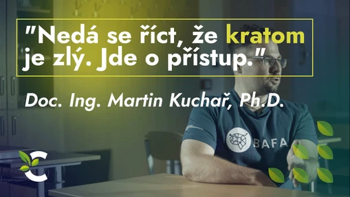 Martin Kuchař: Nedá se říct, že kratom je zlý. Jde o přístup.