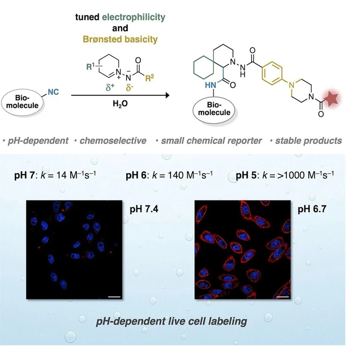 Chem,102752, 2025: Grafický abstrakt