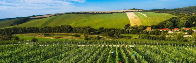 53. Konference Syntéza a analýza léčiv - Program