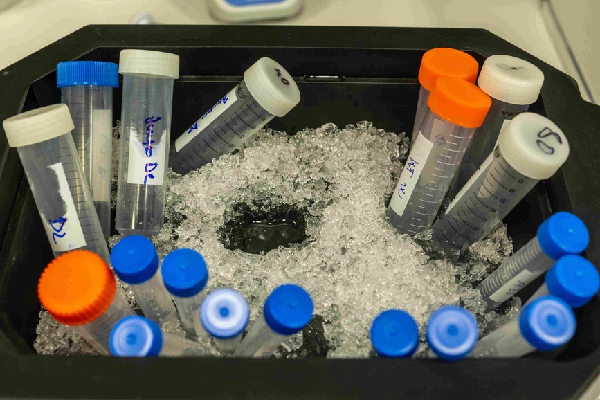 Forum UK/Hynek Glos: Biofyzička Gálisová využije ERC k vývoji cílené dopravy léčiv