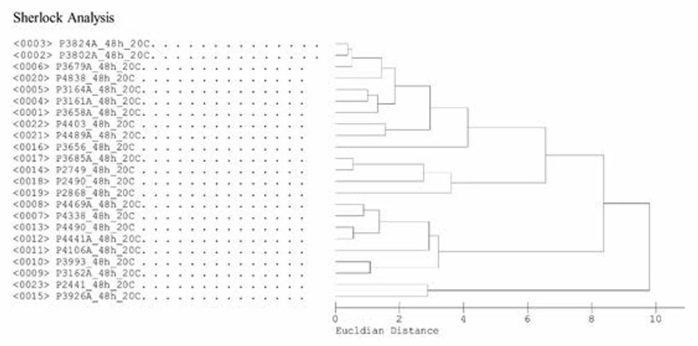 HPST: Obrázek 3 - Dendrogram podobnosti izolátů sestavený systémem Sherlock na základě profilu MK po analýze plynovou chromatografií.