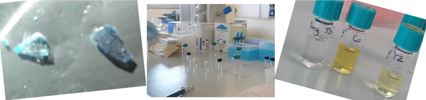 HPST:UPOL: Py-GC/MS analysis of organic binders in Cultural Heritage