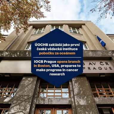 Ústav organické chemie a biochemie zakládá jako první česká vědecká instituce pobočku za oceánem