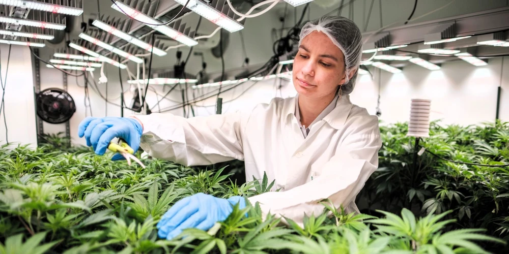 <p><strong>Masarykova univerzita: </strong>Stážistka na MU: Pevné sebevědomí získáte, jen když vyjedete do zahraničí</p>