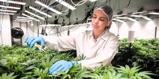 Stážistka na MU: Pevné sebevědomí získáte, jen když vyjedete do zahraničí