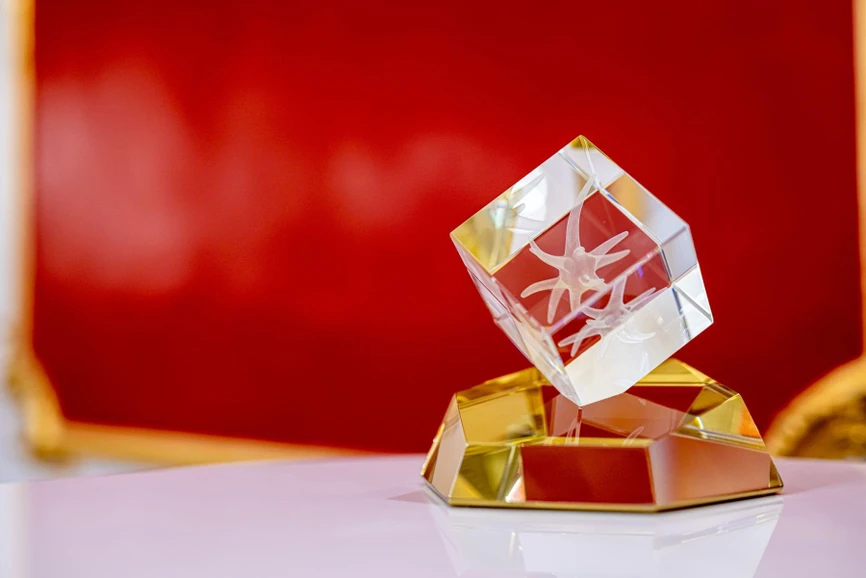 NF Neuron: Ceny Neuron