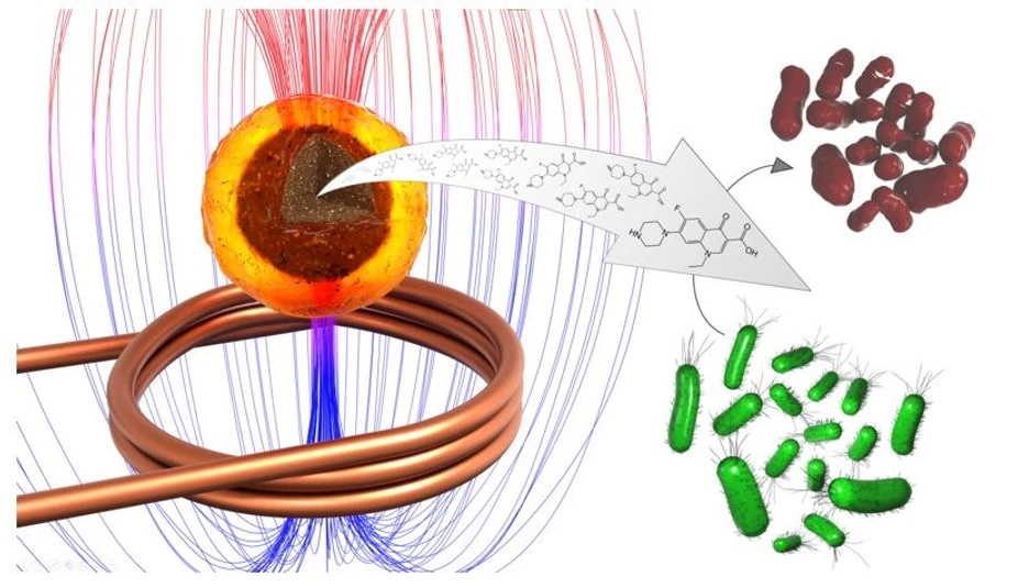 <ul>
<li><strong>Foto:</strong> Nadace Experientia - Využití magnetických nanočástic v boji s bakteriemi</li>
</ul>
