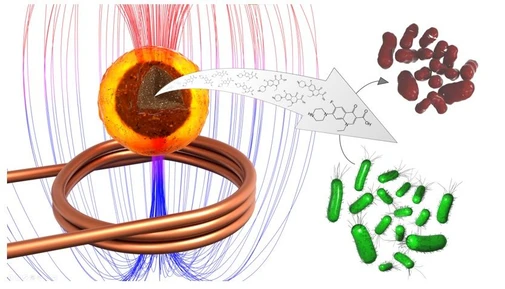 Využití magnetických nanočástic v boji s bakteriemi