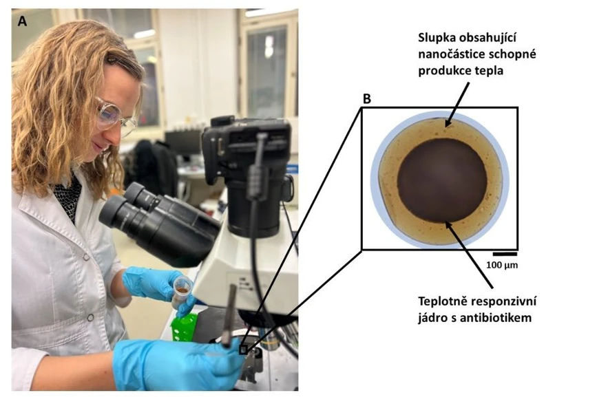 Nadace Experientia: Obrázek 2. A: Mikroskopická analýza čerstvě připravených kompozitních mikročástic složených z jádra a slupky; B: Mikročástice zvětšená pod mikroskopem