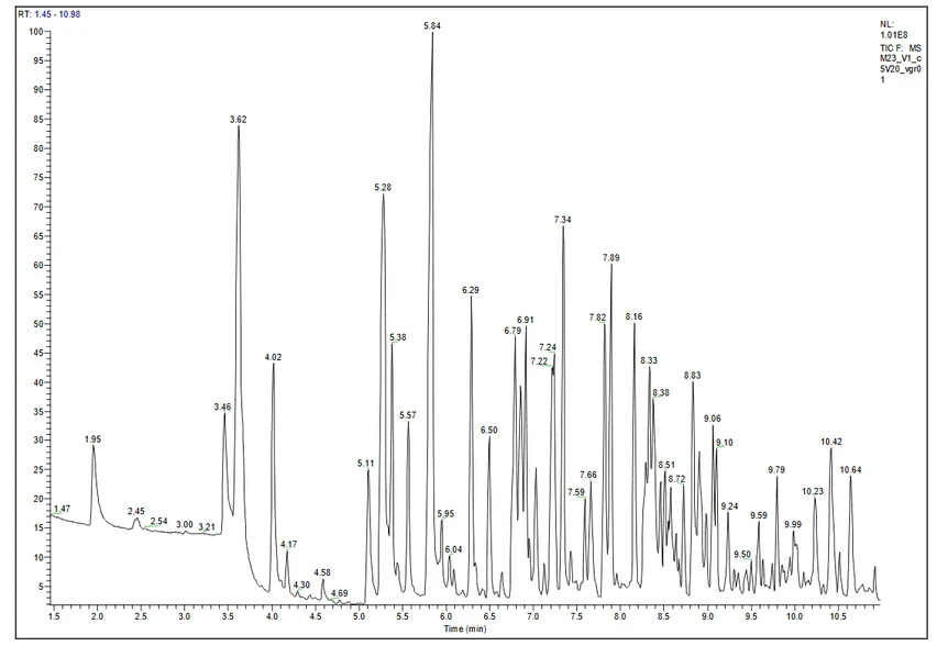 Obr. 1 Chromatogram SWS (17)