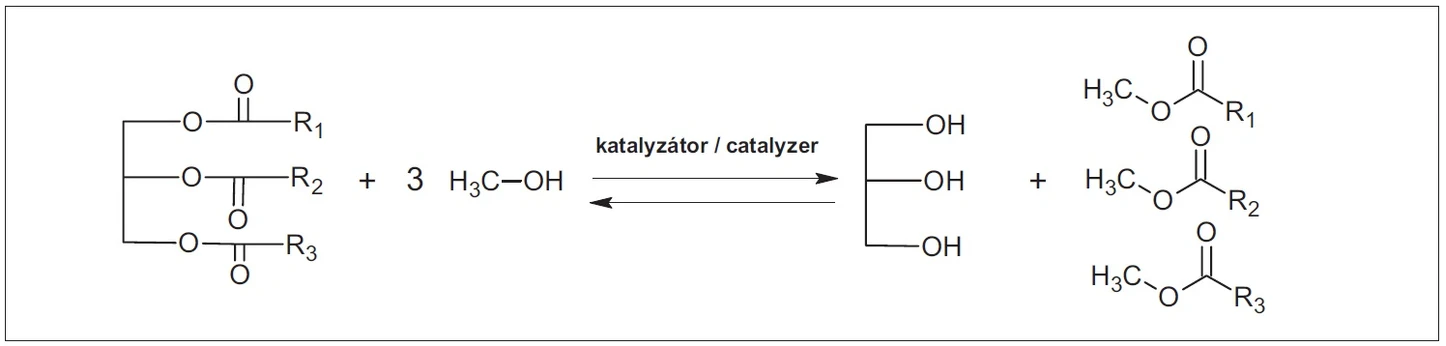 Obr. 2 Rovnice esterifikační reakce