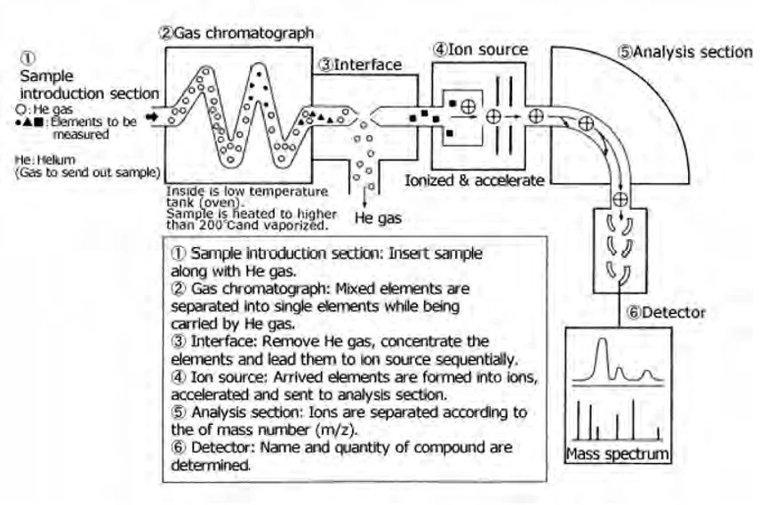 PČR: Obr. 2 Princip GC-MS (Zdroj: https://www.jeol.co.jp/en/science/product_file/file/en_sc17-3.gif)