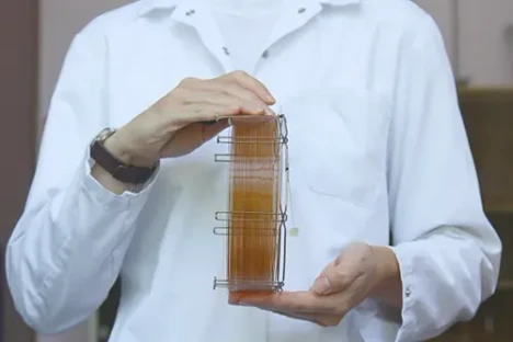 Jak chránit GC kolonu – část 2