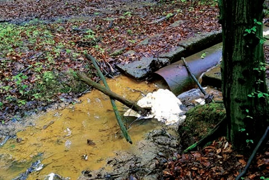 Revue CO: Ďalšie vzorky boli odobraté z dolnej časti potôčika vtekajúceho pravdepodobne do blízkeho rybníka a to z časti, kde sa na potôčiku vytvárala krémovo sfarbená pena