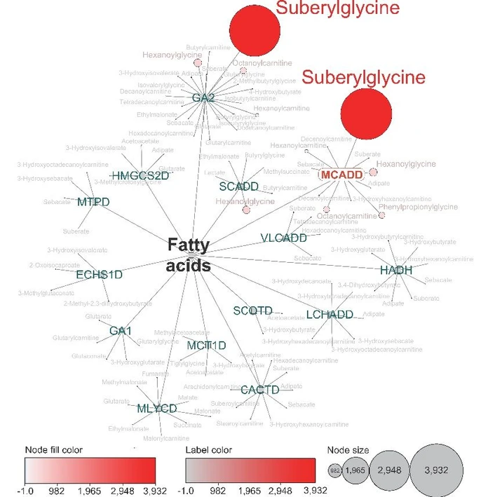 SSJMM: Obr. 2. Metabolická mapa DMP pro pacienta s MCADD. Zobrazena je pouze část mapy s metabolismem mastných kyselin. Koncové uzly představují biomarkery, které jsou napojeny na příslušné onemocnění. Podle hodnoty RS z-skóre dochází ke změně velikosti a barvy koncového uzlu (viz legenda).