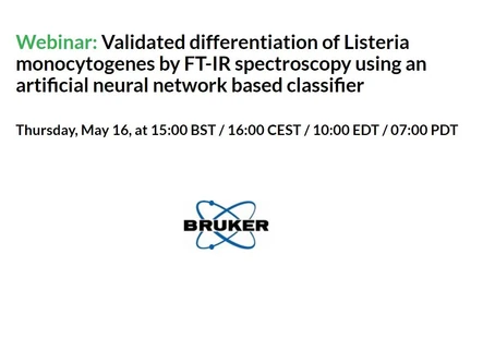 Validated differentiation of Listeria monocytogenes by FT-IR spectroscopy using an artificial neural network based classifier
