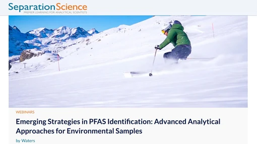 Emerging Strategies in PFAS Identification: Advanced Analytical Approaches for Environmental Samples