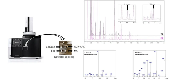 Analýza éterických olejů pomocí detekčního systému GC-MS/FID s rozdělením signálu