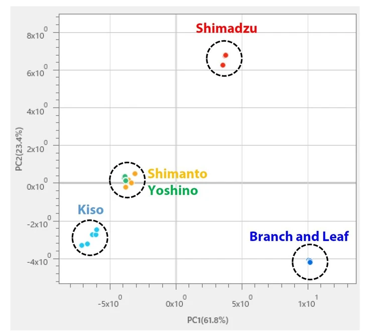 Shimadzu: Obr. 2 Score plot