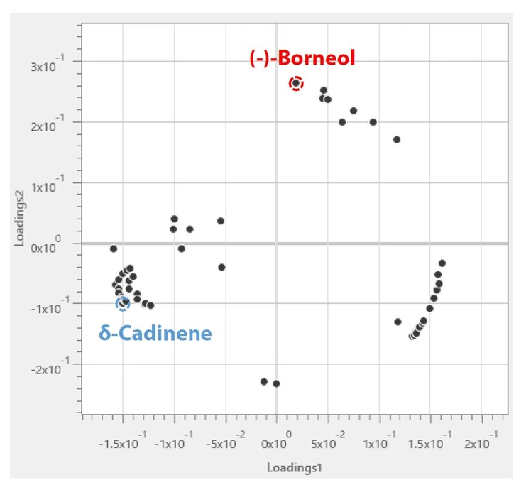 Shimadzu: Obr. 3 Loading plot