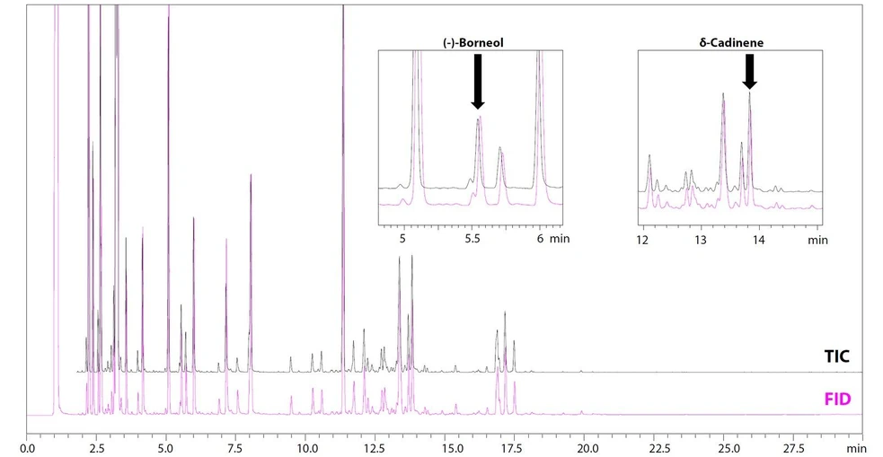 Shimadzu: Obr. 6 TIC a FID chromatogramy oleje Shimadzu