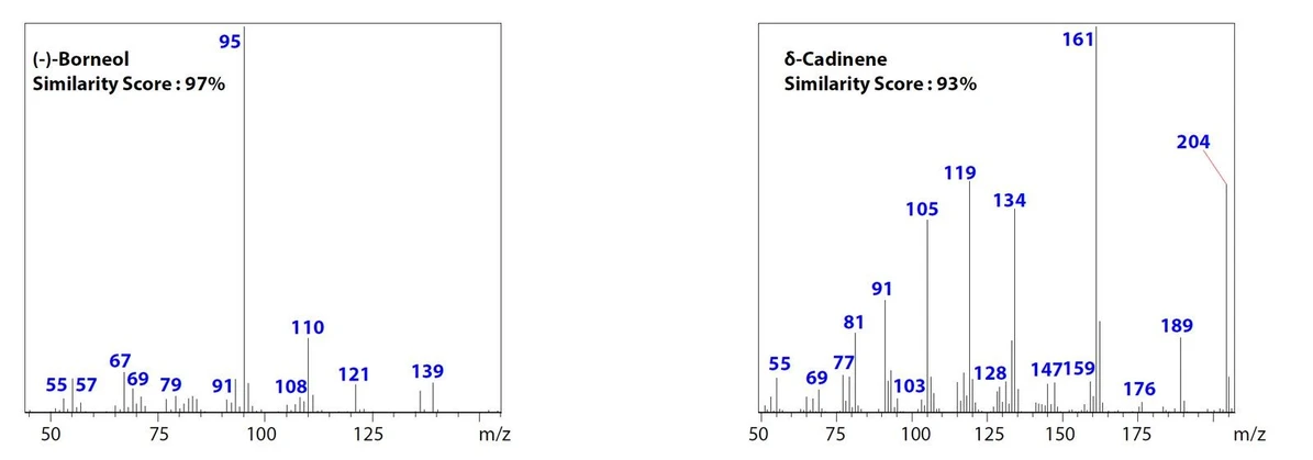 Shimadzu: Obr. 7 MS spektra (-)-borneolu a δ-kadinenu