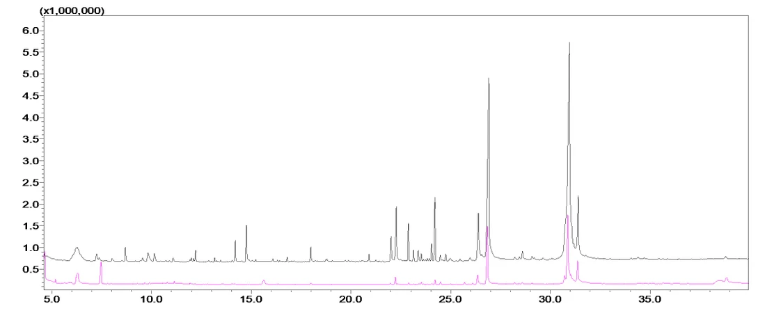 Shimadzu: Obrázek 1. Překryté reprezentativní chromatogramy pro organické hovězí maso, 10ti minutová extrakce, SPME Arrow (černá) a SPME vlákno (růžová)