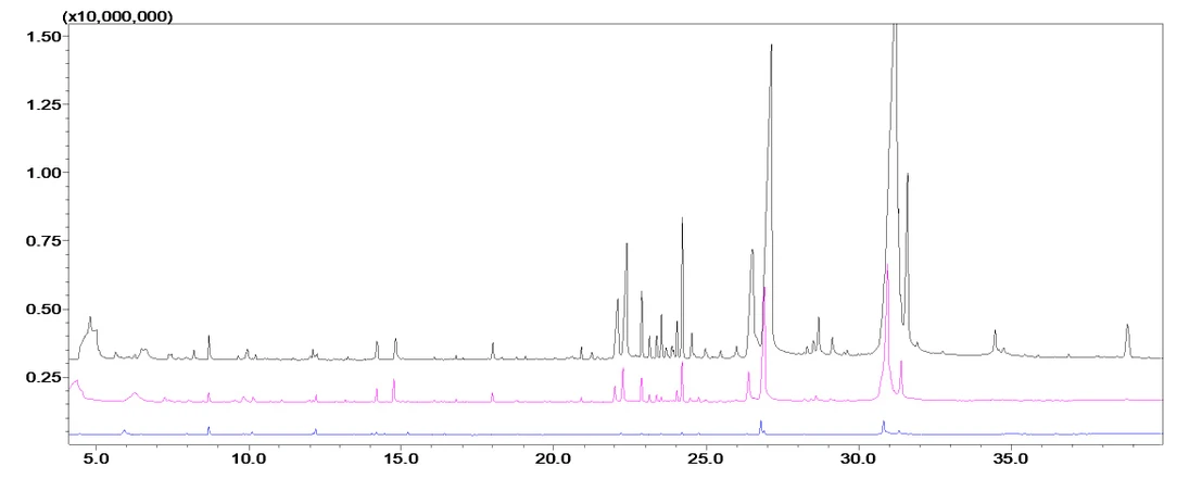Shimadzu: Obrázek 3. Překryté chromatogramy pro organické hovězí maso, 30 min (černá), 10 min (růžová) a 3 min (modrá) extrakce, SPME Arrow