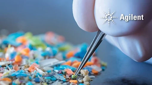 Analyzing Microplastic-Associated Pollutants in Vegetables