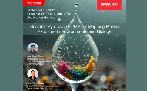 Scalable Pyrolysis-GC-MS for Mapping Plastic Exposure in Environments and Biology
