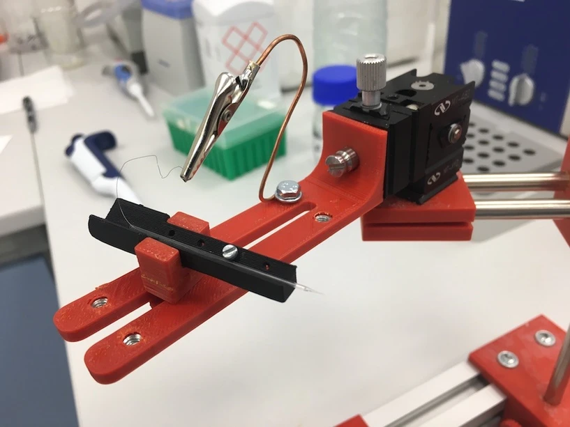 TriLab: BIOCEV - online nanospej