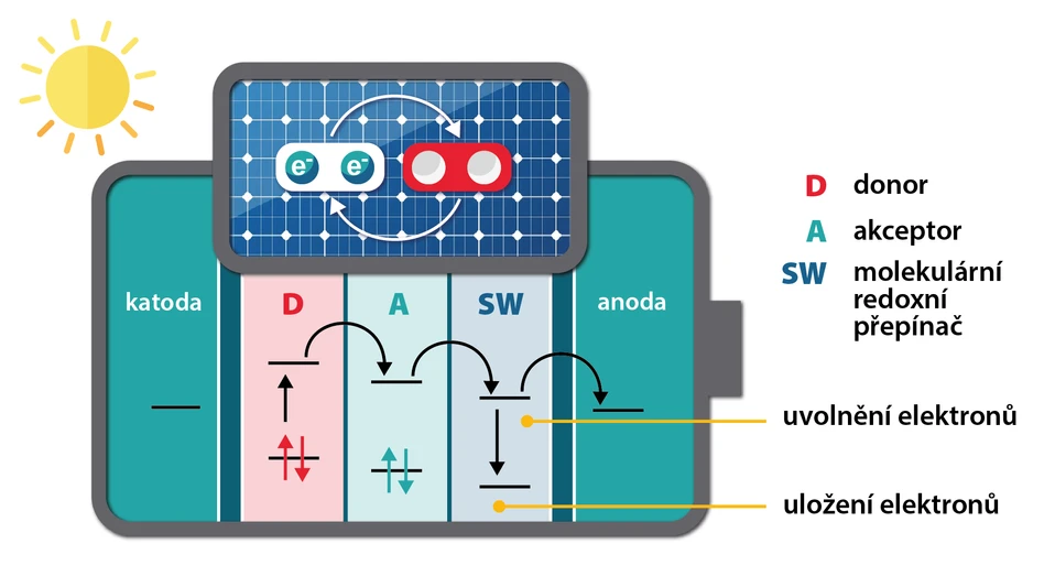 ÚOCHB/Tomáš Belloň: Projekt Tomáše Slaniny