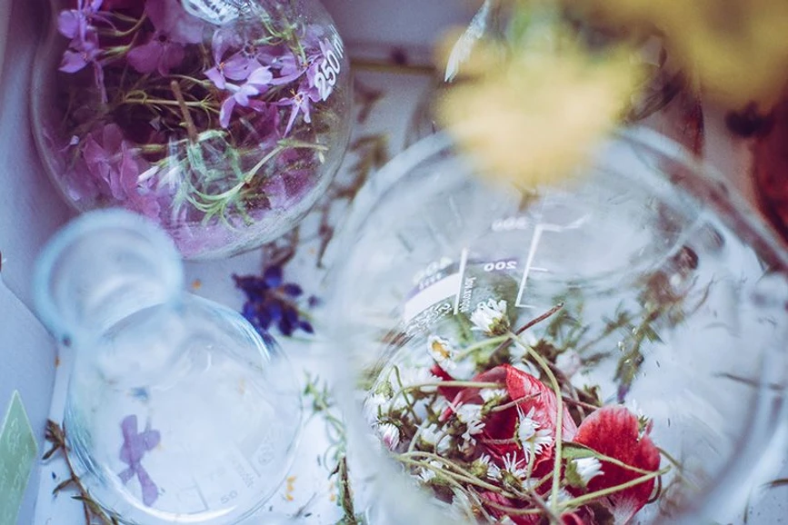 Univerzita Tomáše Bati ve Zlíně: Jak prodloužit životnost přírodní kosmetiky? Odpověď hledají na zlínské univerzitě.