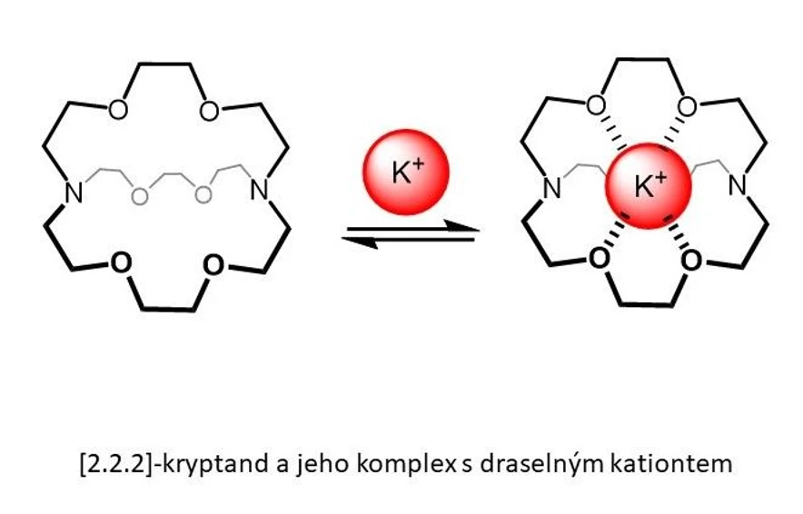 Vědavýzkum.cz / Pavel Lhoták: Nákres kryptandu, autor: Pavel Lhoták, vedoucí skupiny Skupiny supramolekulární chemie na VŠCHT v Praze.