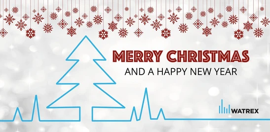 Veselé Vánoce a Šťastný nový rok 2025!