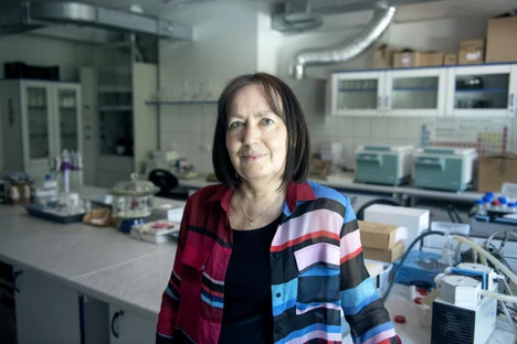 Hledáme koronavirus v odpadní vodě, říká česká expertka. Cílem je předpovědět další vlnu nákazy