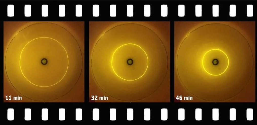 <p>Vesmír/Ústav analytické chemie AV ČR: Epitachoforéza - </p>

