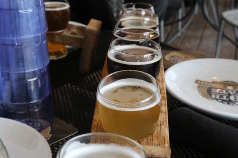 Sledování methioninu v českých a zahraničních pivech