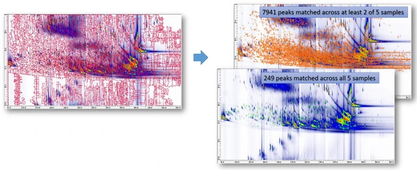 ZOEX GC Image software