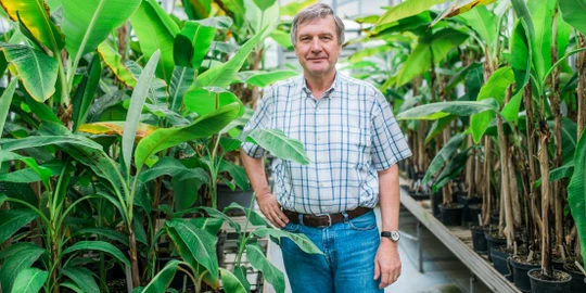 Česko by mohlo být druhé Švýcarsko, ale plýtvá potenciálem